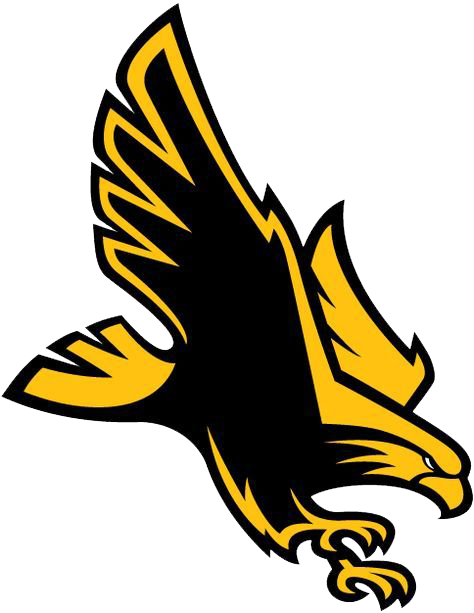 Hawk 02.png